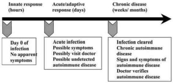 autoimmune 