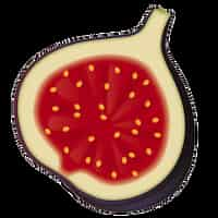 Fig