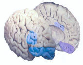 Higher Functions