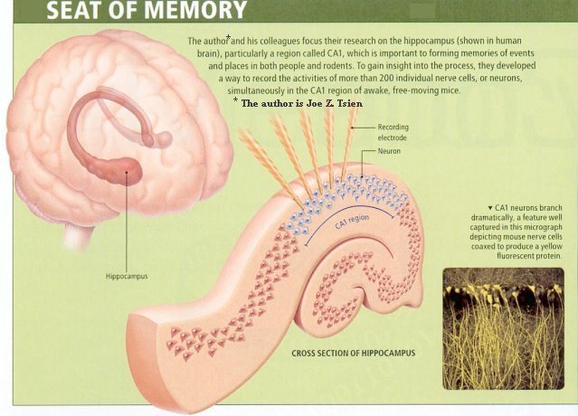 Seat of Memory