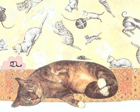 Dreaming Cat