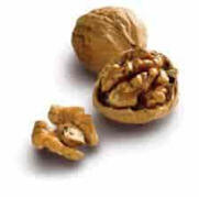 walnut