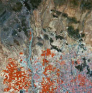 False-color image of Arizona