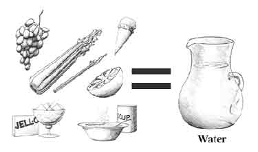 Grapes, celery, ice cream, grapefruit, soup, and jello all contain water.